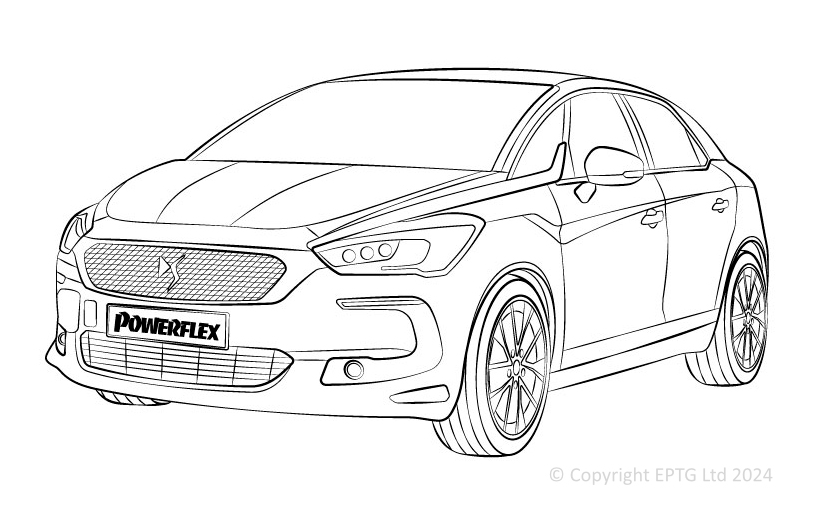 DS5 - 2011-