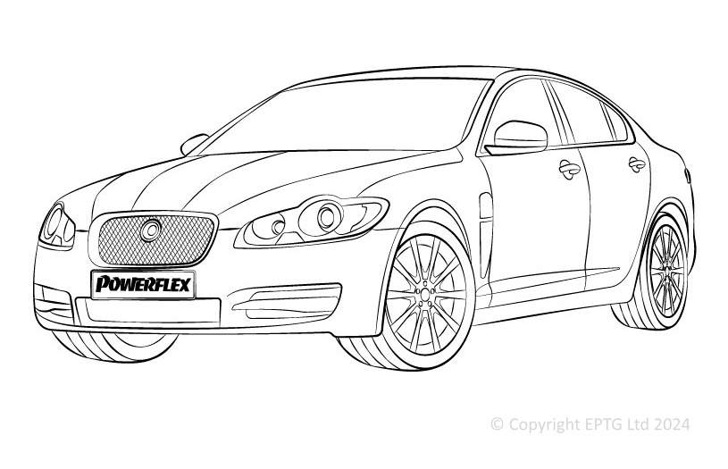 XF, XFR-X250 - 2008-2015