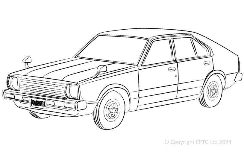 Sunny & Pulsar N10-N16 - 1981-2006