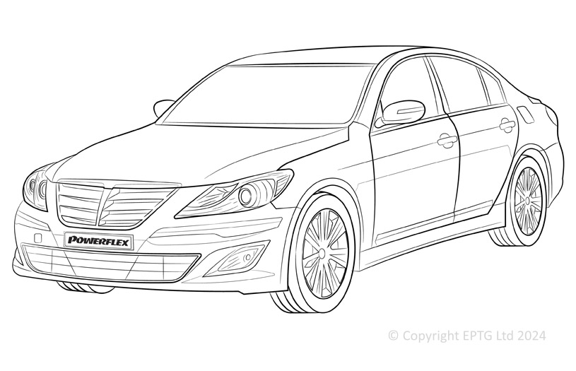 Genesis BH - 2008-2012