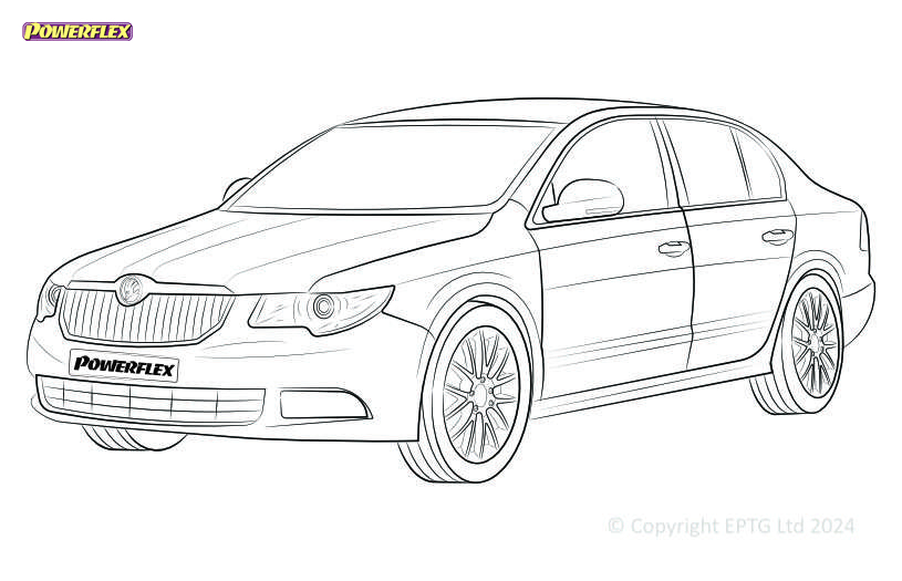 Superb B6 - 3T - 2009-2010