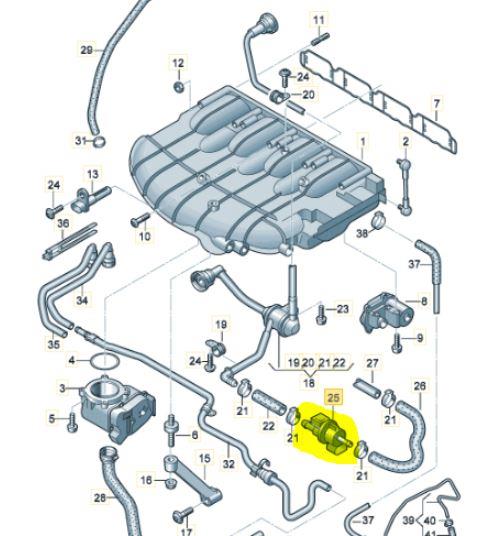 Vw evap clearance purge valve