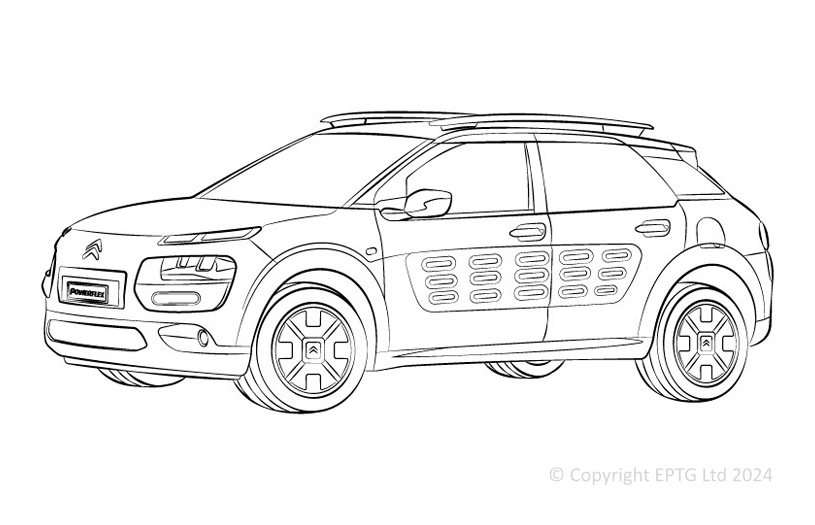 C4 Cactus - 2014-