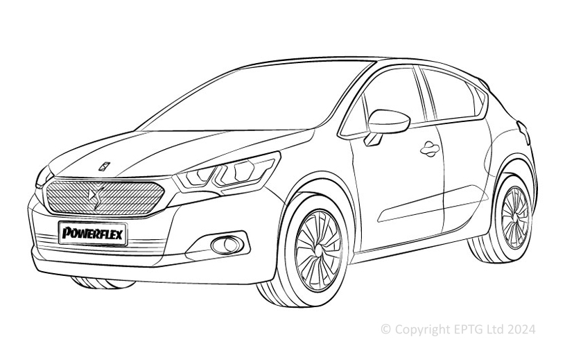 DS4 - 2010-