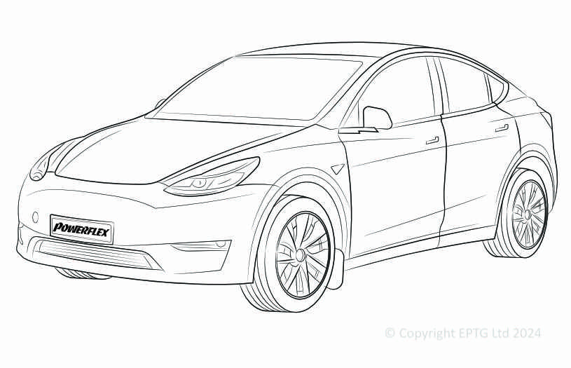 Model Y - 2020-