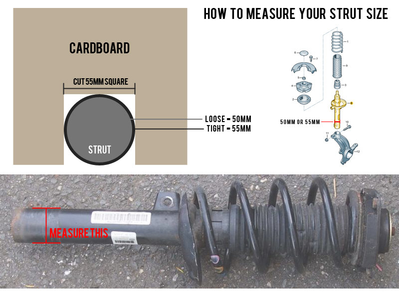 strut-size.jpg