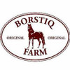 Borstiq