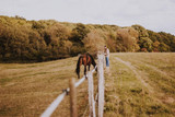 Stop Feeding Horses!