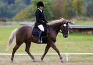 How to Dress for Dressage