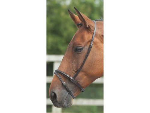 Shires Shires Blenheim Flash Nosebands