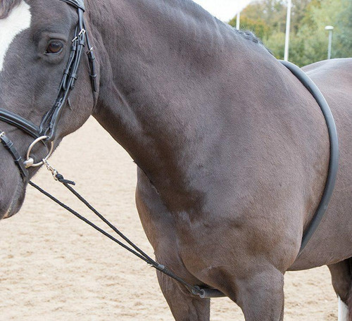 Shires Shires Soft Lunging Aid