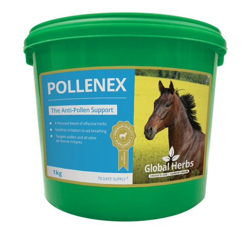 Global Herbs Global Herbs PolleneX Powder - All Sizes