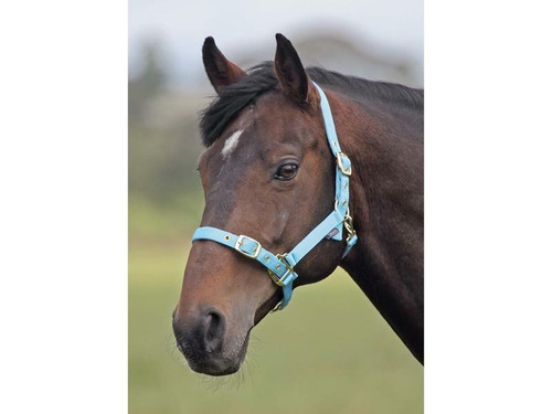 Shires Shires Adjustable Nylon Headcollars - All Colours