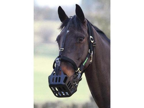 Shires Greenguard Headcollars - Black