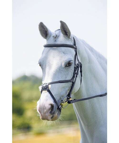 Shires Rapida Freedom Fit Grackle Bridle