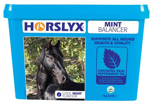 Horslyx Mint Horse Lick - All Sizes