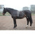 Shires Shires Lunging Aid