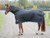 Shires Shires Tempest 200 Stable Rug and Neck Set