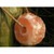 Hilton Herbs Hilton Herbs Himalayan Rock Salt Licks on a Rope