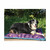 Hy Benji and Flo Patrick the Pheasant Waterproof Dog Beds - All Sizes