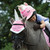 Equetech Unicorn Plush Ear Bonnet - All Sizes