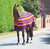 Shires Newmarket Fleece Rugs - All Colours