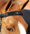 Premier Equine Bi-Polar Magni-Teque Browband 