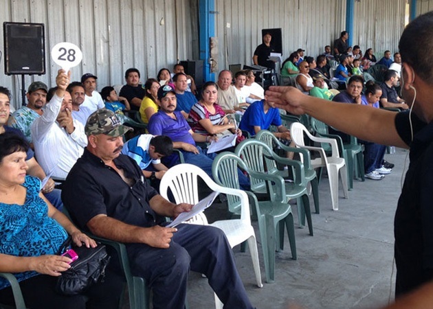 Live Auctions - 1st Thurs each Month