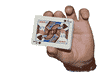 Static-Charge Card, Bicycle