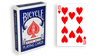 Blue One Way Forcing Deck (10h)