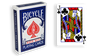 Blue One Way Forcing Deck (jc)