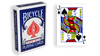 Blue One Way Forcing Deck (js)