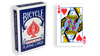 Blue One Way Forcing Deck (qh)