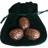 Copper Shells (Antique Copper)