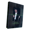 The Al Schneider Techniques - Vol 4: Stand up video DOWNLOAD