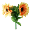 Amazing Split Sunflower by Premium Magic - Trick