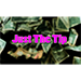 Just The Tip by Chris Randall - Video DOWNLOAD