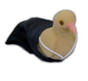 Invisible Dove Harness w/ Pocket