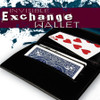 Invisible Exchange Wallet