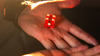 Gecko Pro System (Gimmicks and Online Instructions) by Jim Rosenbaum - Trick