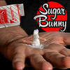 SUGAR BUNNY - By Steve Fearson