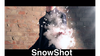 SnowShot (10 ct.) by Victor Voitko (Gimmick and Online Instructions) - Trick