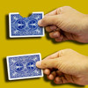 Bite Out Card - Bicycle