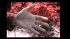 Metal Skin by Arnel Renegado video DOWNLOAD