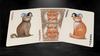 Bicycle Poker Cats V2  Playing Cards