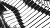 Modulo by Fraser Parker