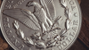 Bacon Jumbo Coin (Morgan) by Bacon Magic
