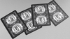 Schrodinger's Cat: Quantum Gilded Dead Black Playing Cards