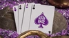 Good Pals Purple Foil Logo Playing Cards