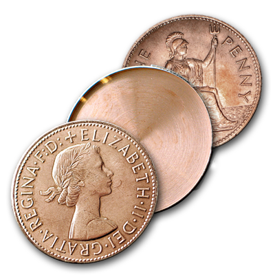 Expanded English Penny Shell Heads